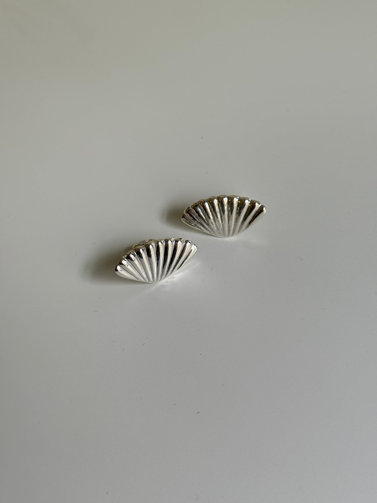 Seashell Earrings