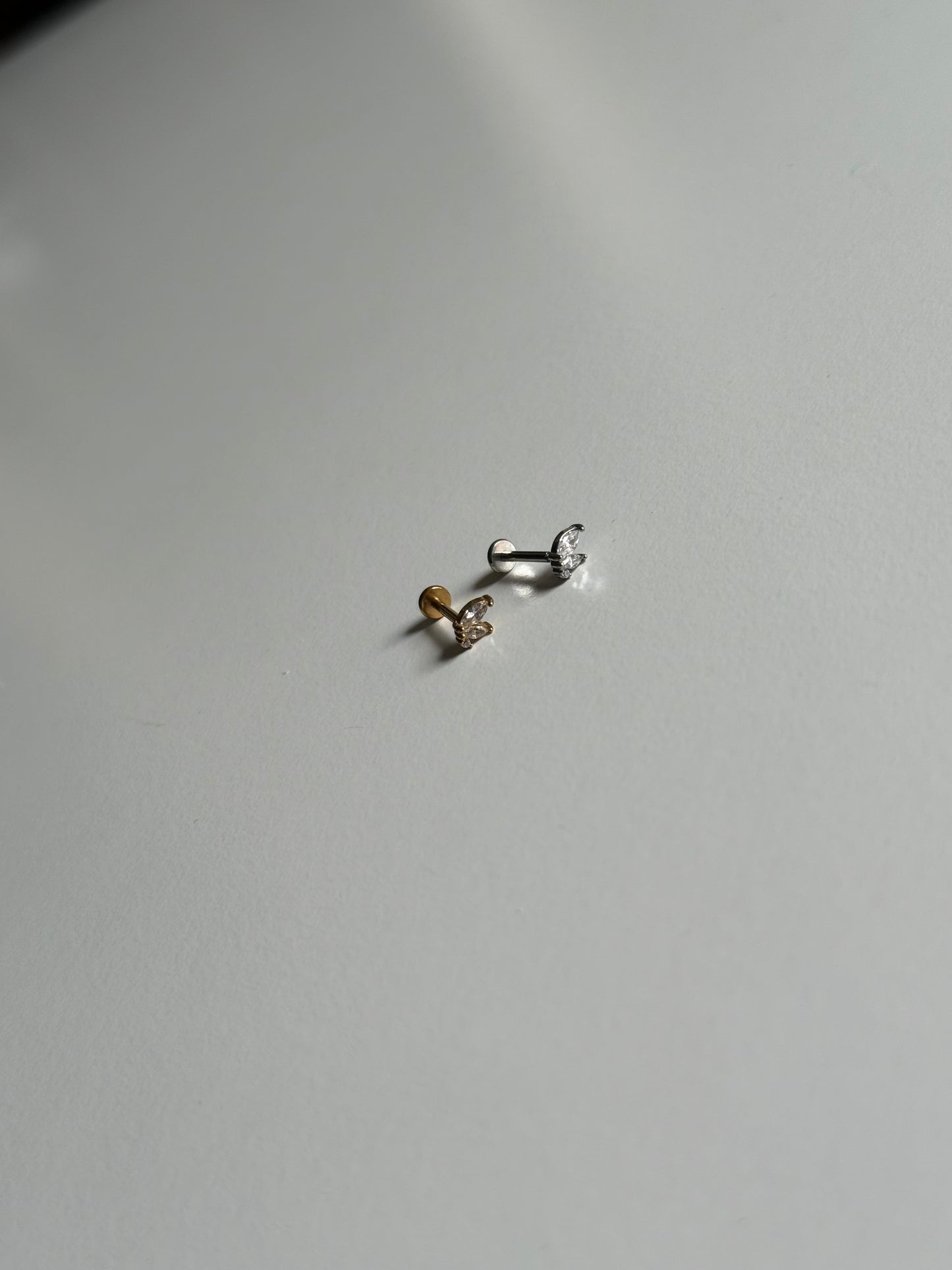 Piercing labret farfalla profilo