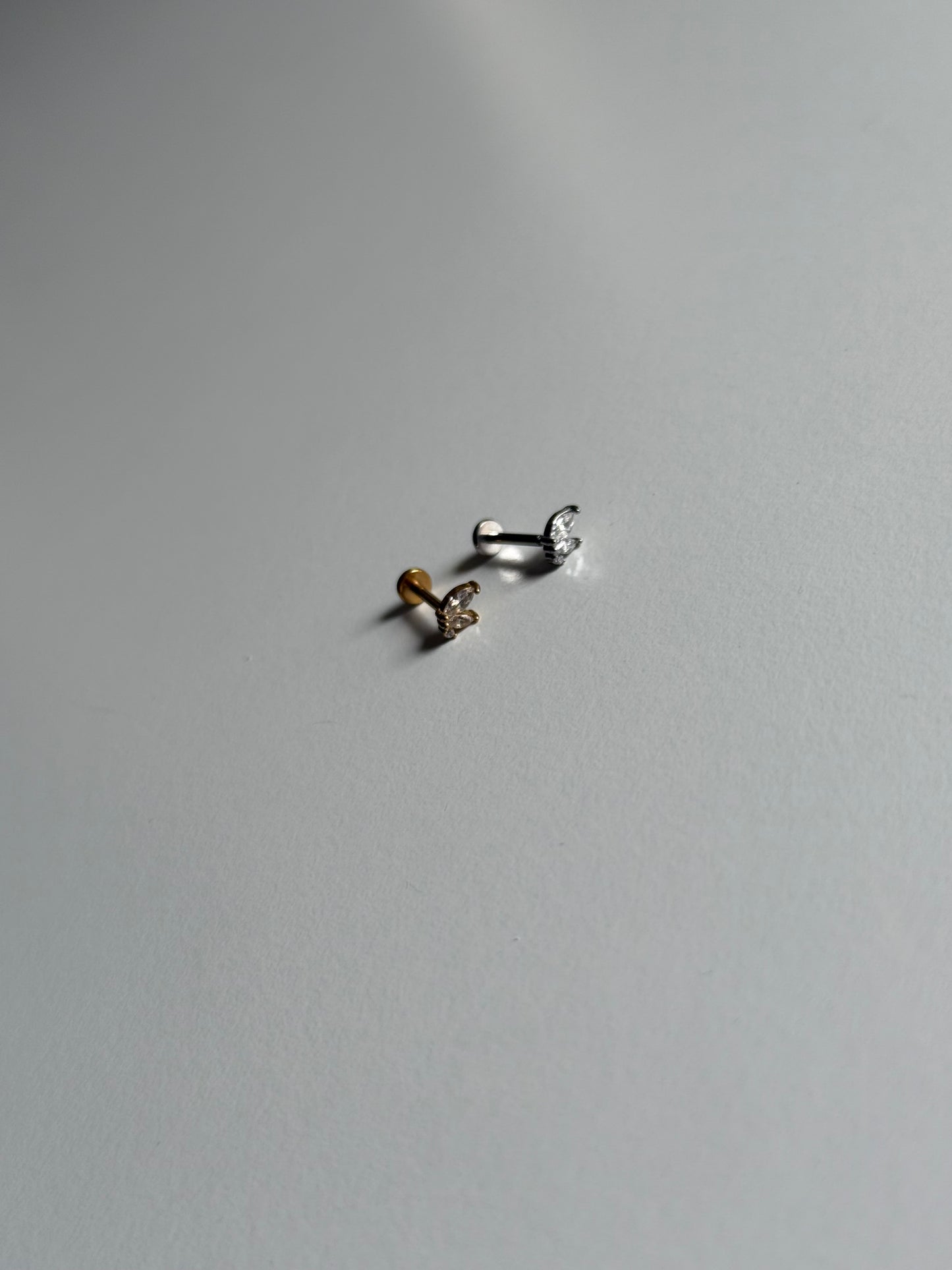 Piercing labret farfalla profilo