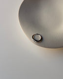 Anello Vega