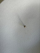 Piercing labret goccina