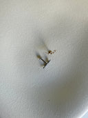 Piercing labret rametto