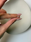 Micro Lobiny Silver