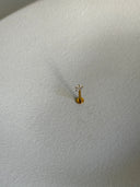 Piercing labret goccina