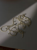 Collana Shiny