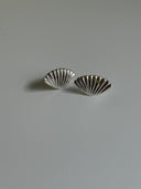 Seashell Earrings