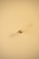 Anello Monreale