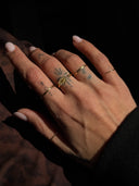 Anello Madonnina