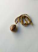 Collana Nautilus