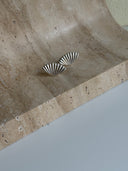 Seashell Earrings