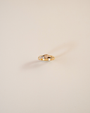 Anello Selinunte
